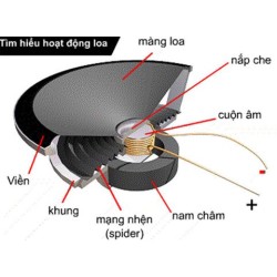 Các thành phần cấu tạo của loa rời Các thành phần cấu tạo của loa rời